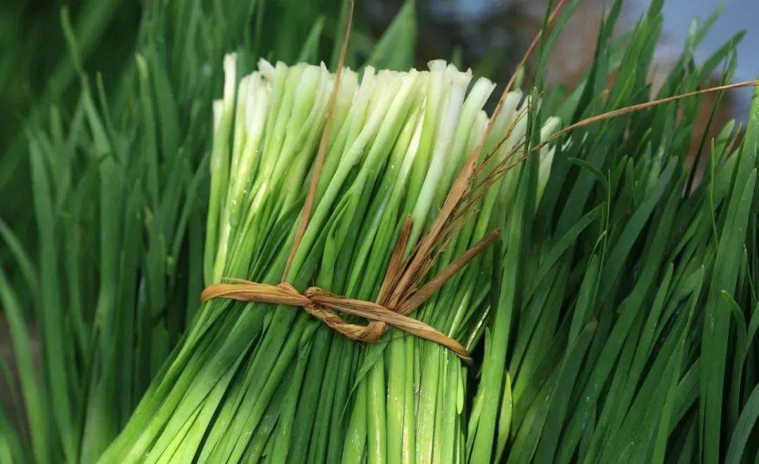 提醒韭菜千万不能这样吃当心中毒