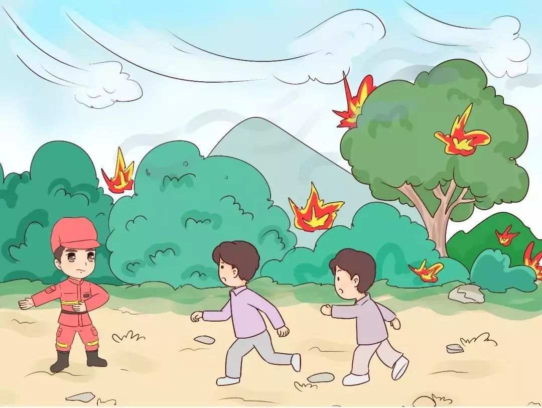 一部卡通漫画get森林防火小知识