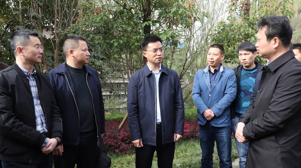 覃永利调研土地出让重点项目拆迁工作