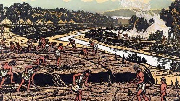 长江流域是世界上水稻的起源地之一,在相当长的一段历史时期里,"火耕