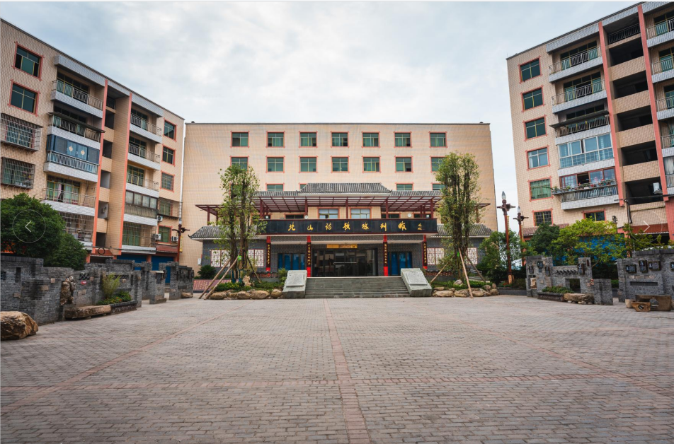 永远的小白杨随访梁上泉返乡札记