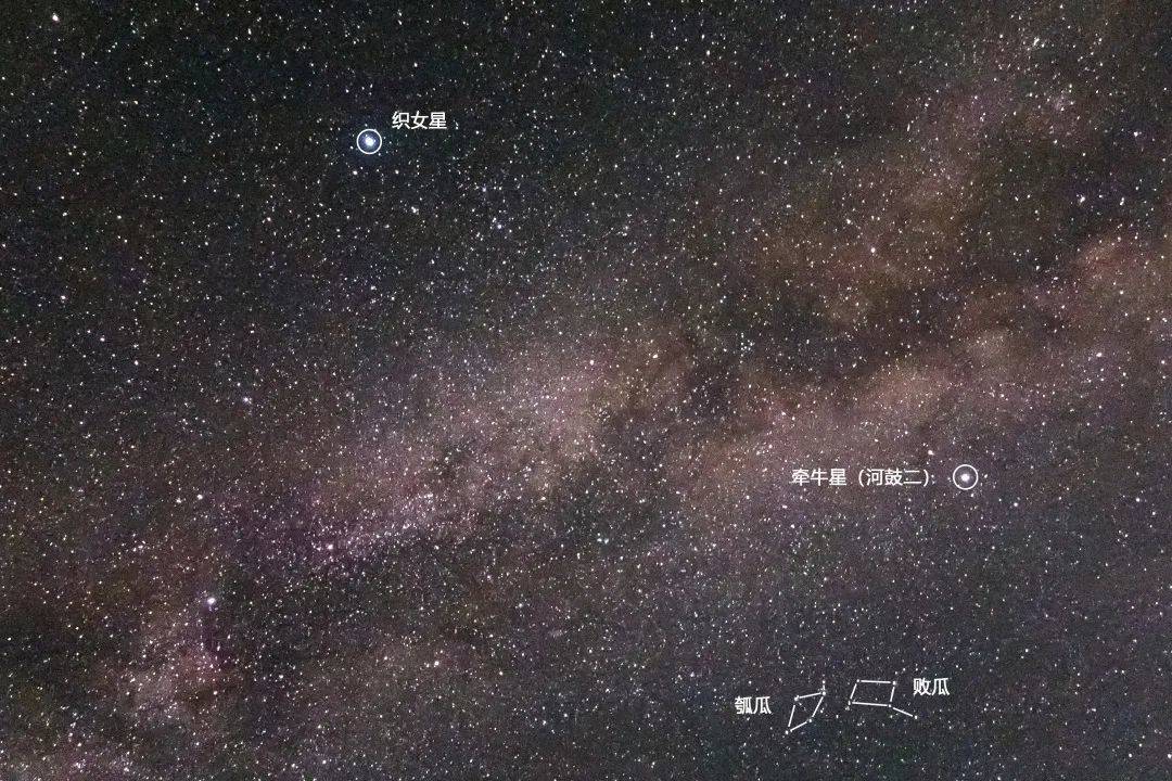 牵牛和织女的人设是怎么来的从古诗和天文学角度带你解读七夕