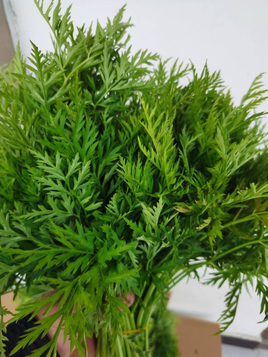 蘼芜,是个啥东东?原来竟是它!能加工新潮可口美食! - 今日通川