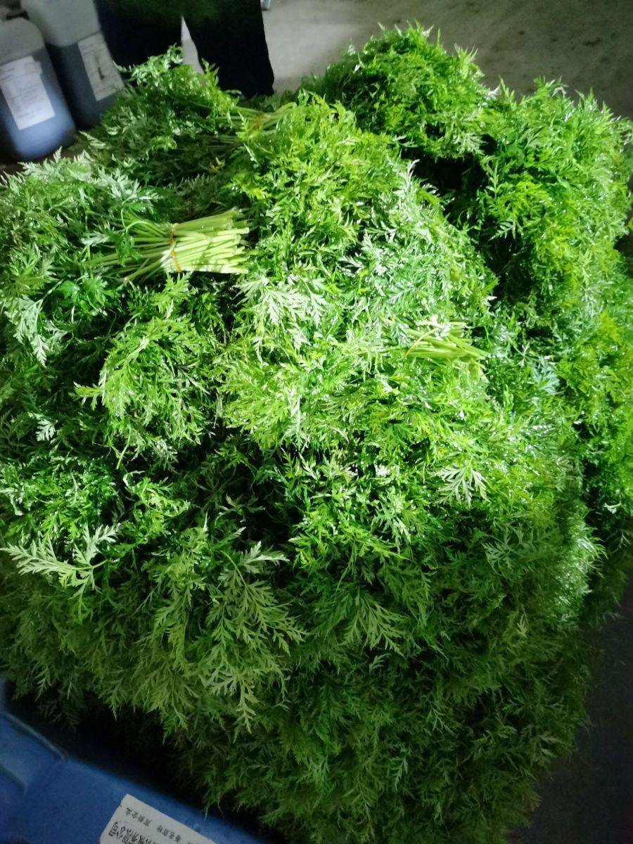 蘼芜,是个啥东东?原来竟是它!能加工新潮可口美食! - 今日通川