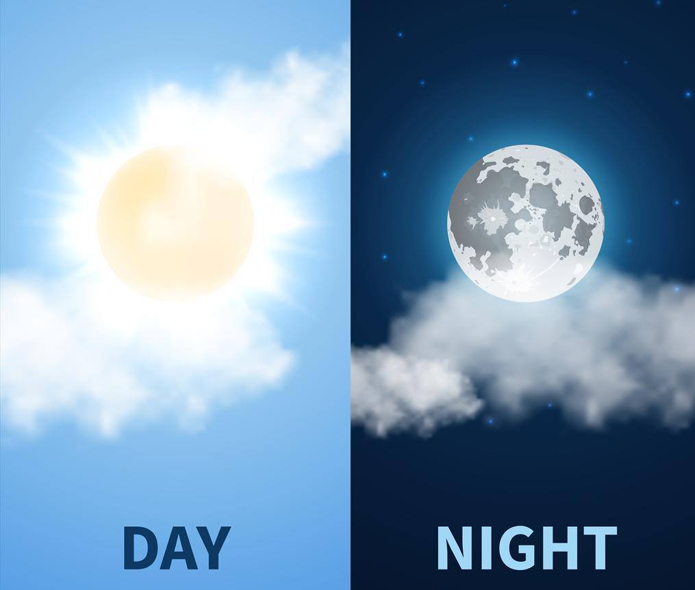 身体的白天和夜晚脑钟昼夜循环代谢节律的指挥家